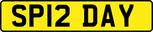 SP12DAY