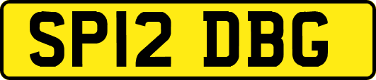 SP12DBG