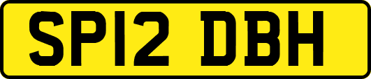 SP12DBH