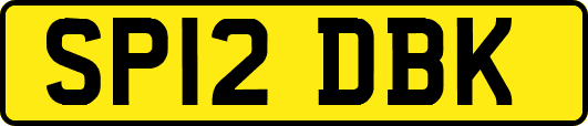SP12DBK