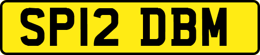 SP12DBM