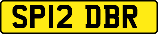 SP12DBR