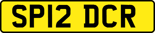 SP12DCR