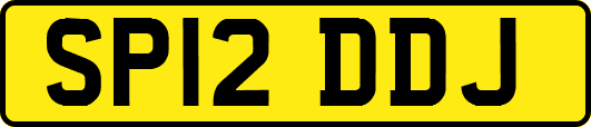 SP12DDJ