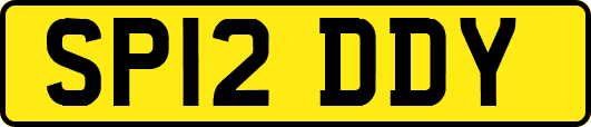SP12DDY
