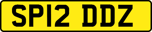 SP12DDZ