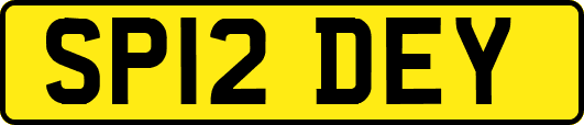 SP12DEY