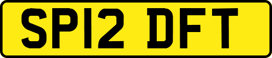 SP12DFT