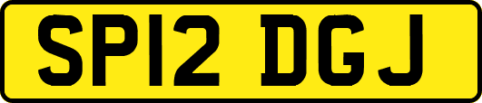 SP12DGJ