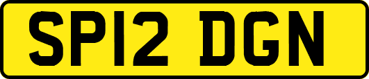 SP12DGN
