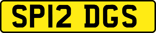 SP12DGS
