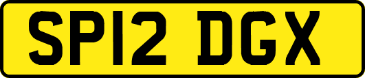 SP12DGX