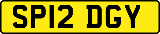 SP12DGY