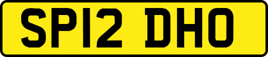 SP12DHO