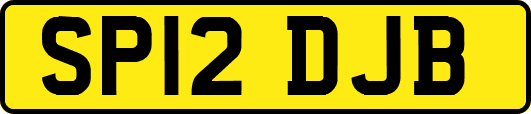 SP12DJB