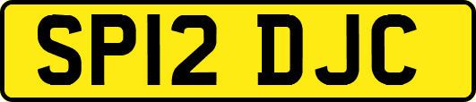 SP12DJC