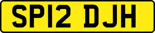 SP12DJH
