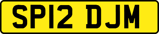 SP12DJM