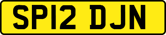 SP12DJN