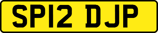 SP12DJP