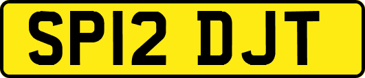 SP12DJT