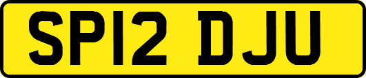 SP12DJU