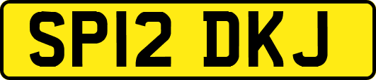 SP12DKJ