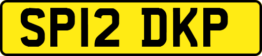 SP12DKP