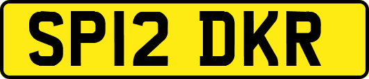 SP12DKR