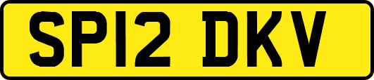 SP12DKV