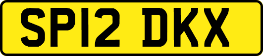 SP12DKX