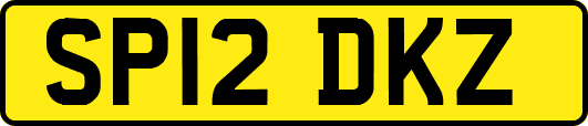 SP12DKZ