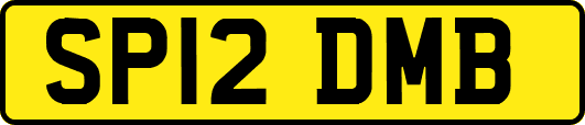 SP12DMB