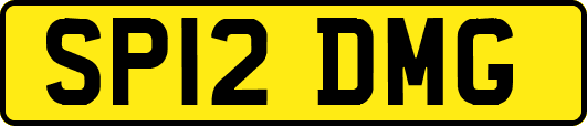 SP12DMG