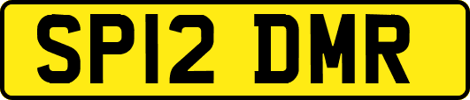 SP12DMR