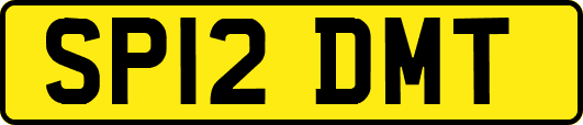 SP12DMT