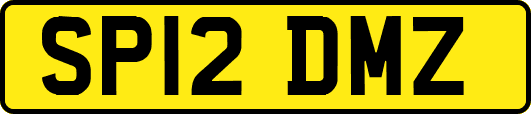 SP12DMZ