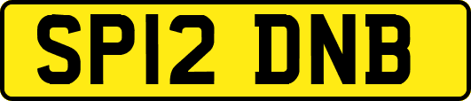 SP12DNB