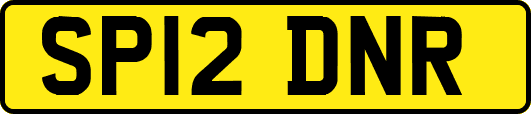 SP12DNR