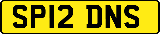 SP12DNS