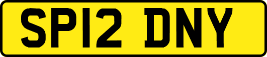 SP12DNY