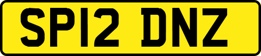 SP12DNZ