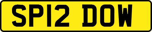 SP12DOW