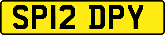SP12DPY