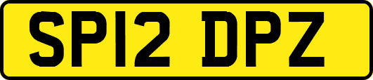 SP12DPZ