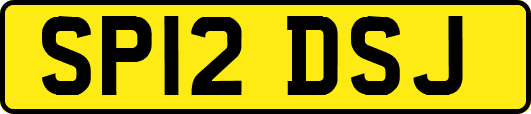 SP12DSJ