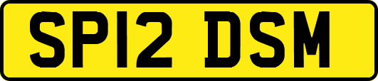 SP12DSM