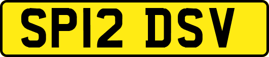 SP12DSV