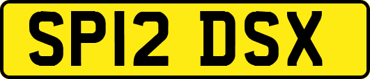 SP12DSX