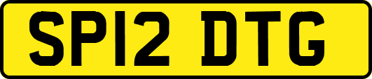 SP12DTG